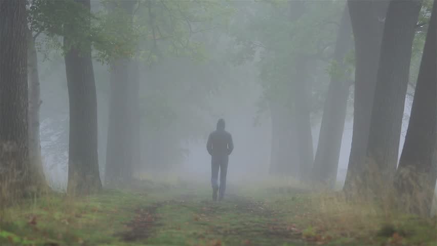 Alone in the Fog