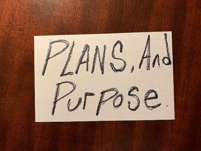 WHAT IS YOUR PLAN? WHAT IS YOUR PURPOSE?